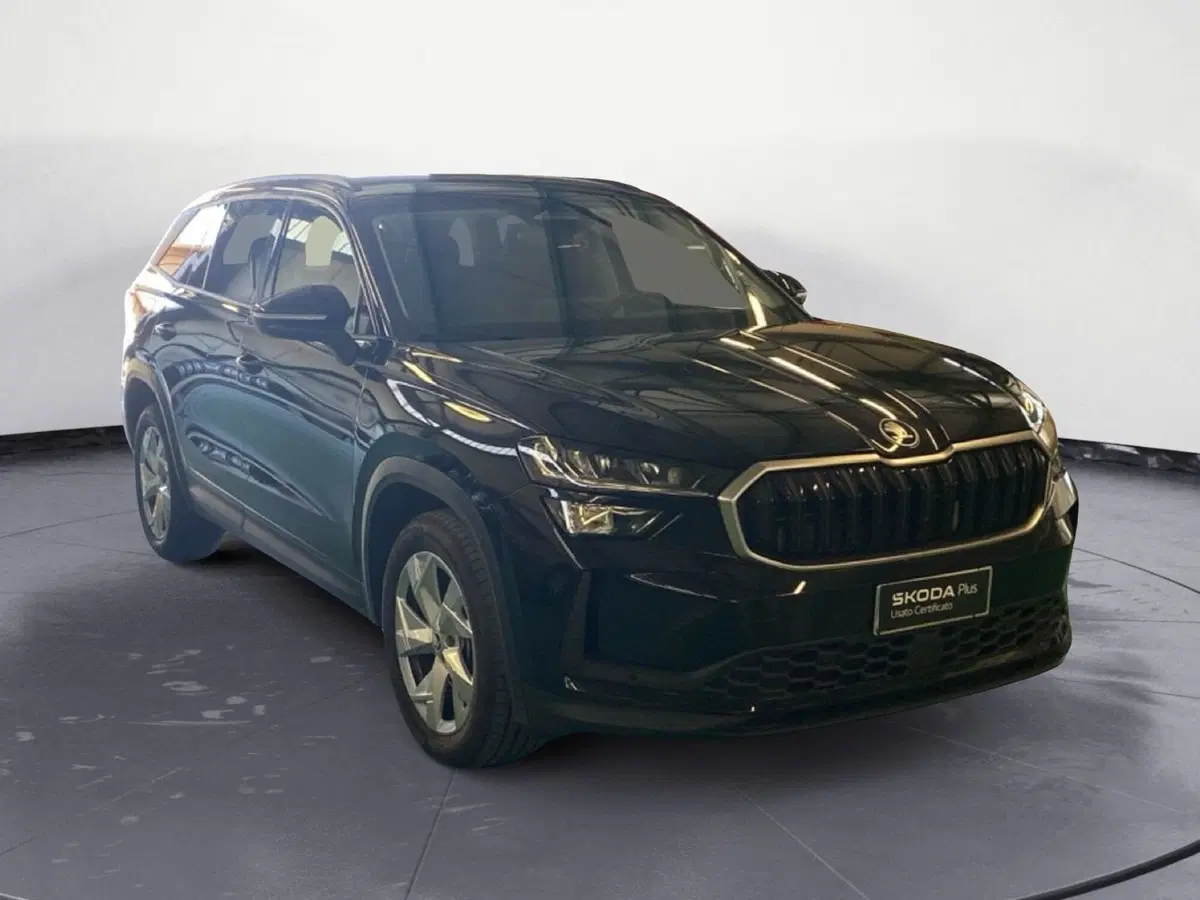 Skoda Kodiaq usata a Reggio Calabria (3)