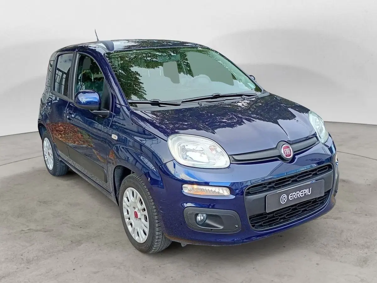 Fiat Panda usata a Rimini (2)