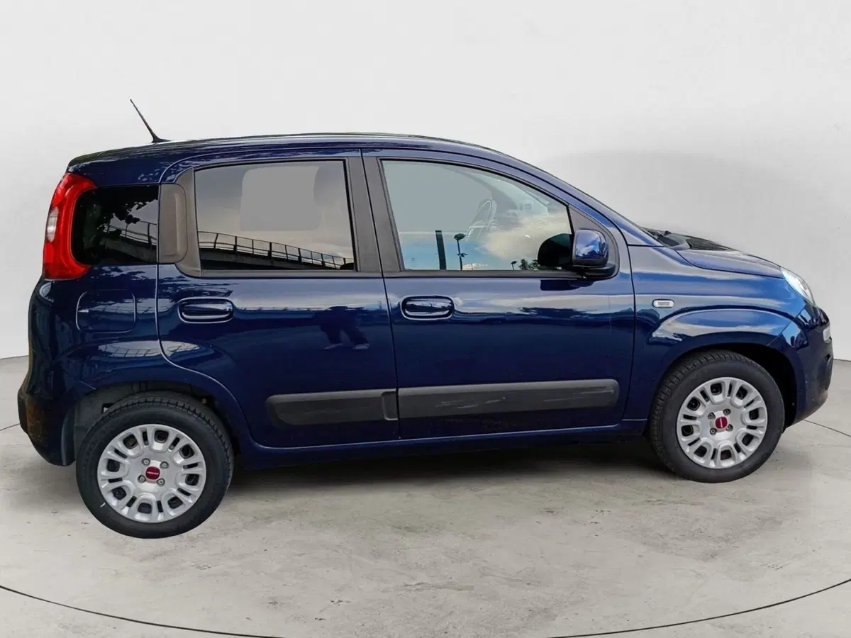 Fiat Panda usata a Rimini (4)