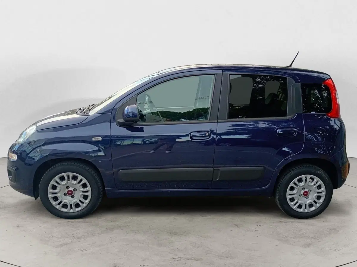 Fiat Panda usata a Rimini (5)