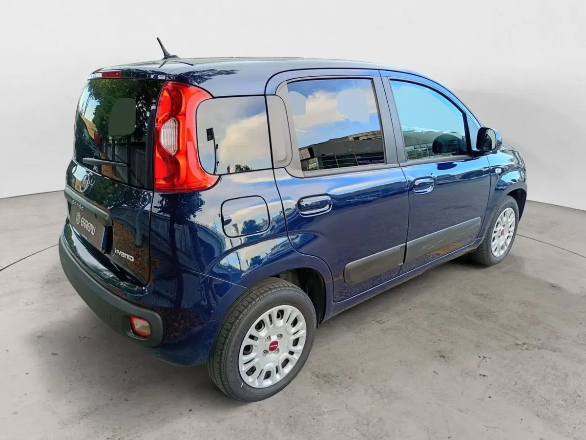 Fiat Panda usata a Rimini (7)