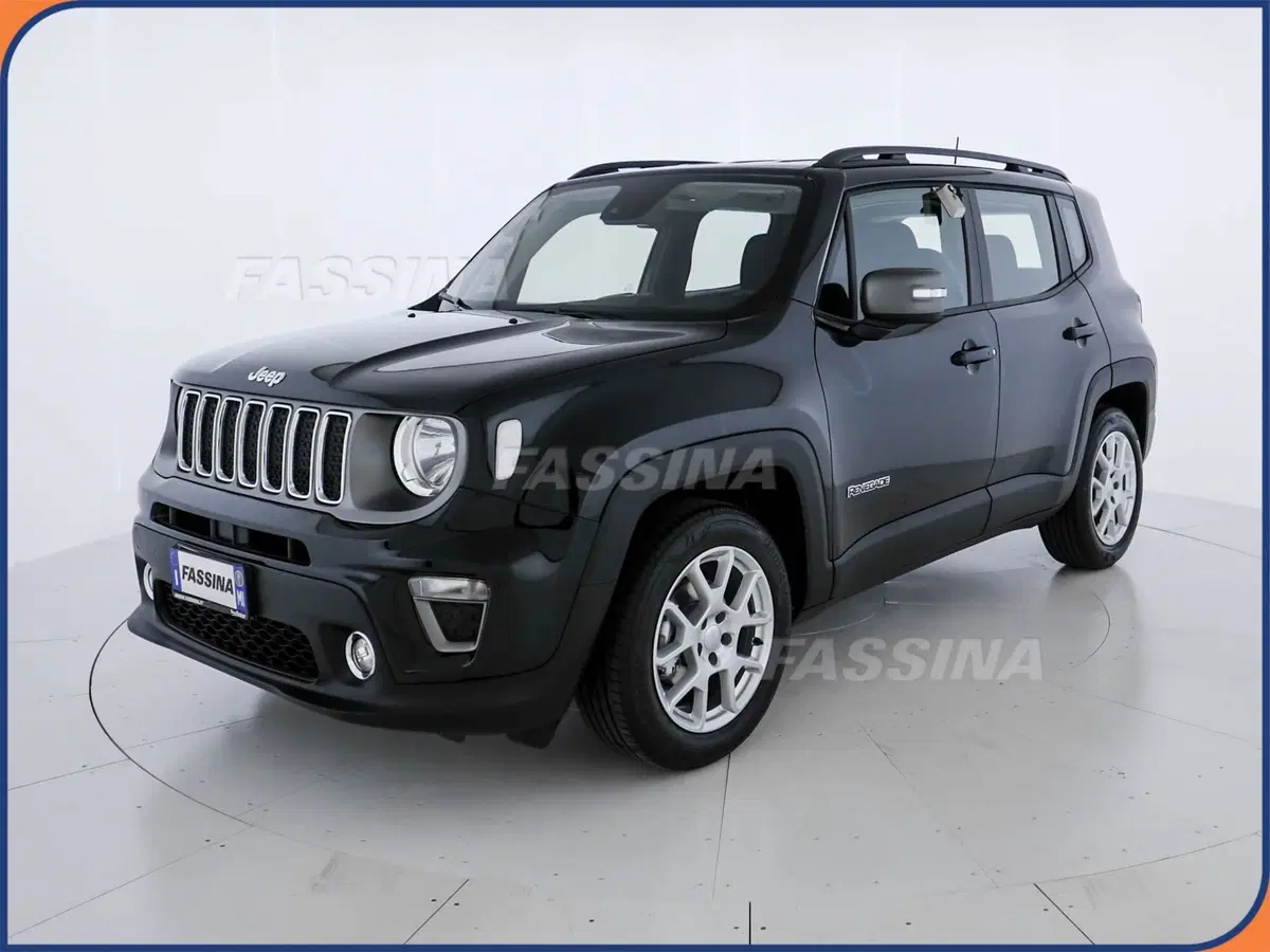 Jeep Renegade usata a Milano (3)
