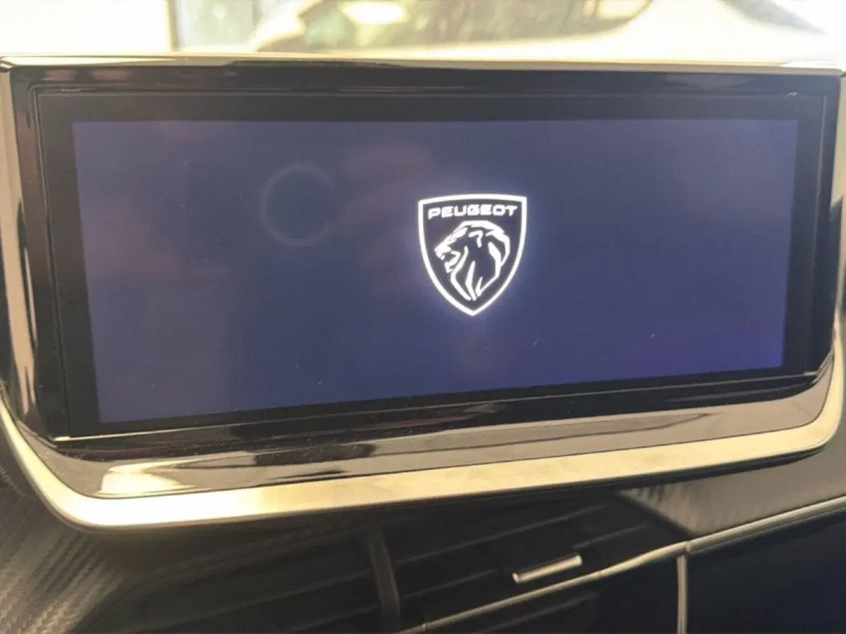 Peugeot 2008 usata a Palermo (14)
