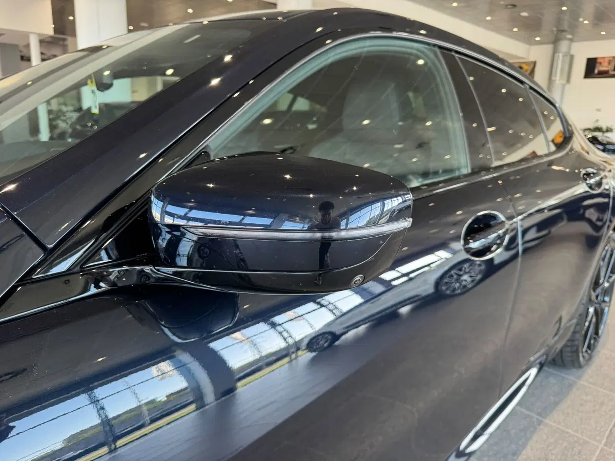 BMW Serie 8 Coupé usata a Firenze (15)