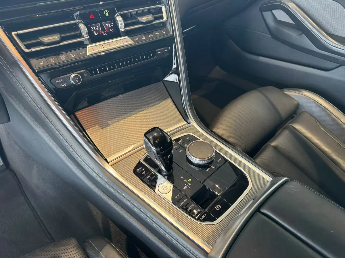 BMW Serie 8 Coupé usata a Firenze (18)