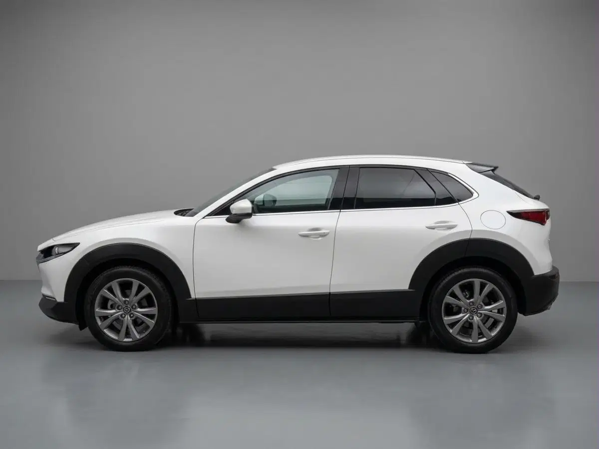 Mazda CX-30 usata a Catanzaro
