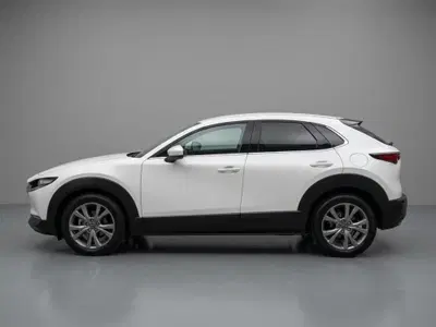 Mazda CX-30 Skyactiv-G M Hybrid 2WD Executive del 2020 usata a Lamezia Terme