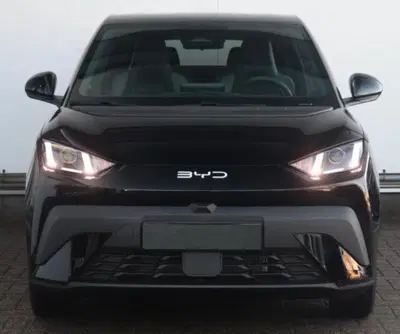 Byd Dolphin Surf 43,2 kWh Boost nuova a Castenaso
