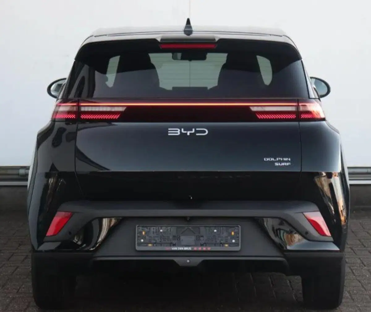Byd Dolphin Surf nuova a Bologna (4)