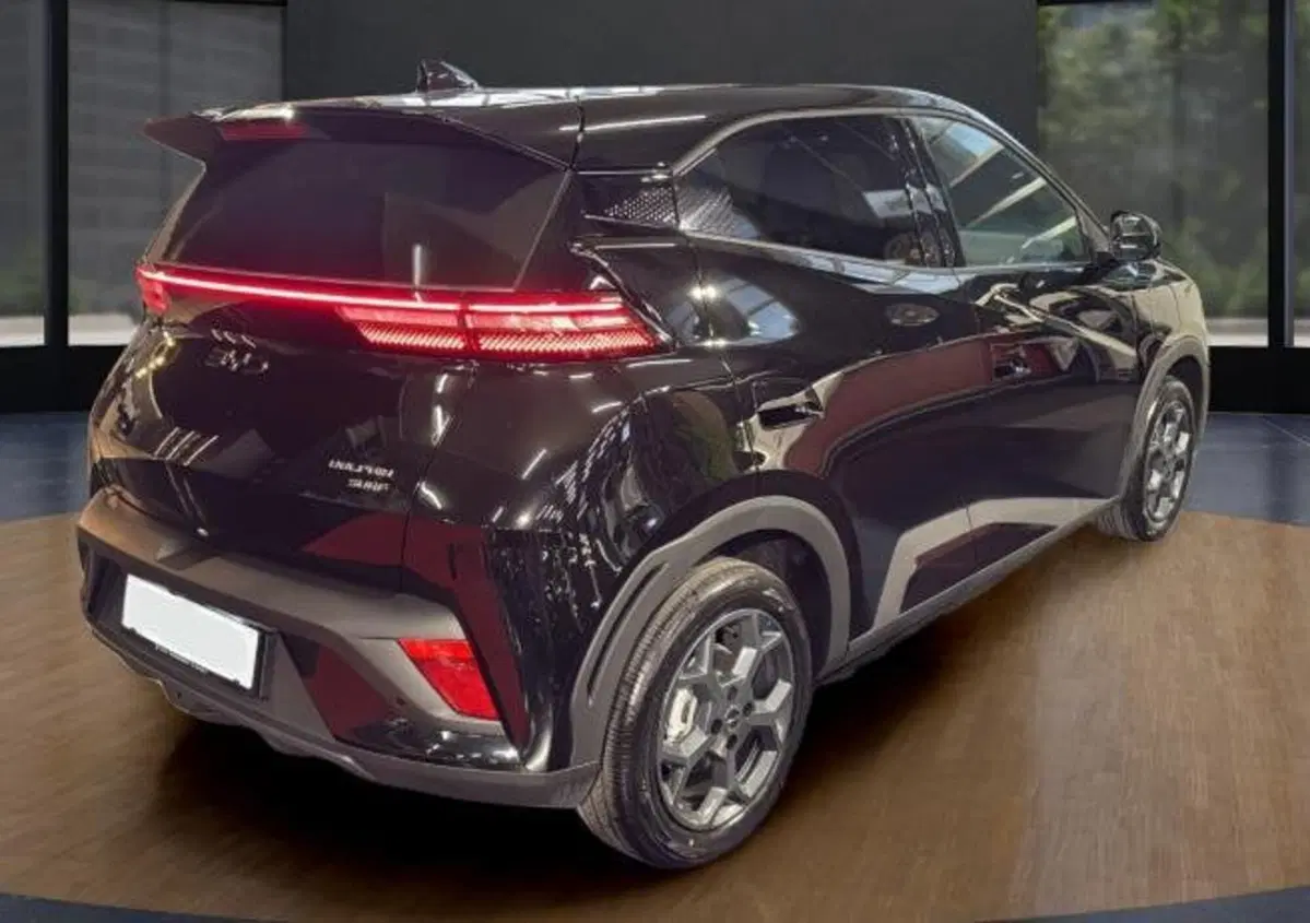 Byd Dolphin Surf nuova a Bologna (5)