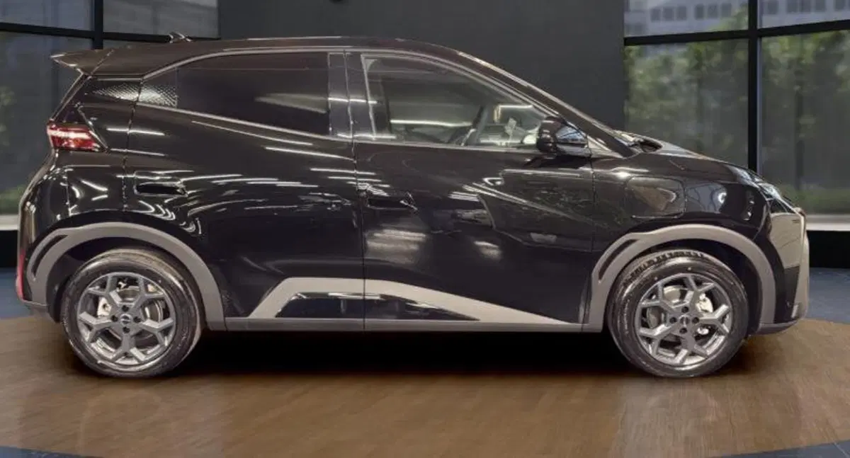 Byd Dolphin Surf nuova a Bologna (6)