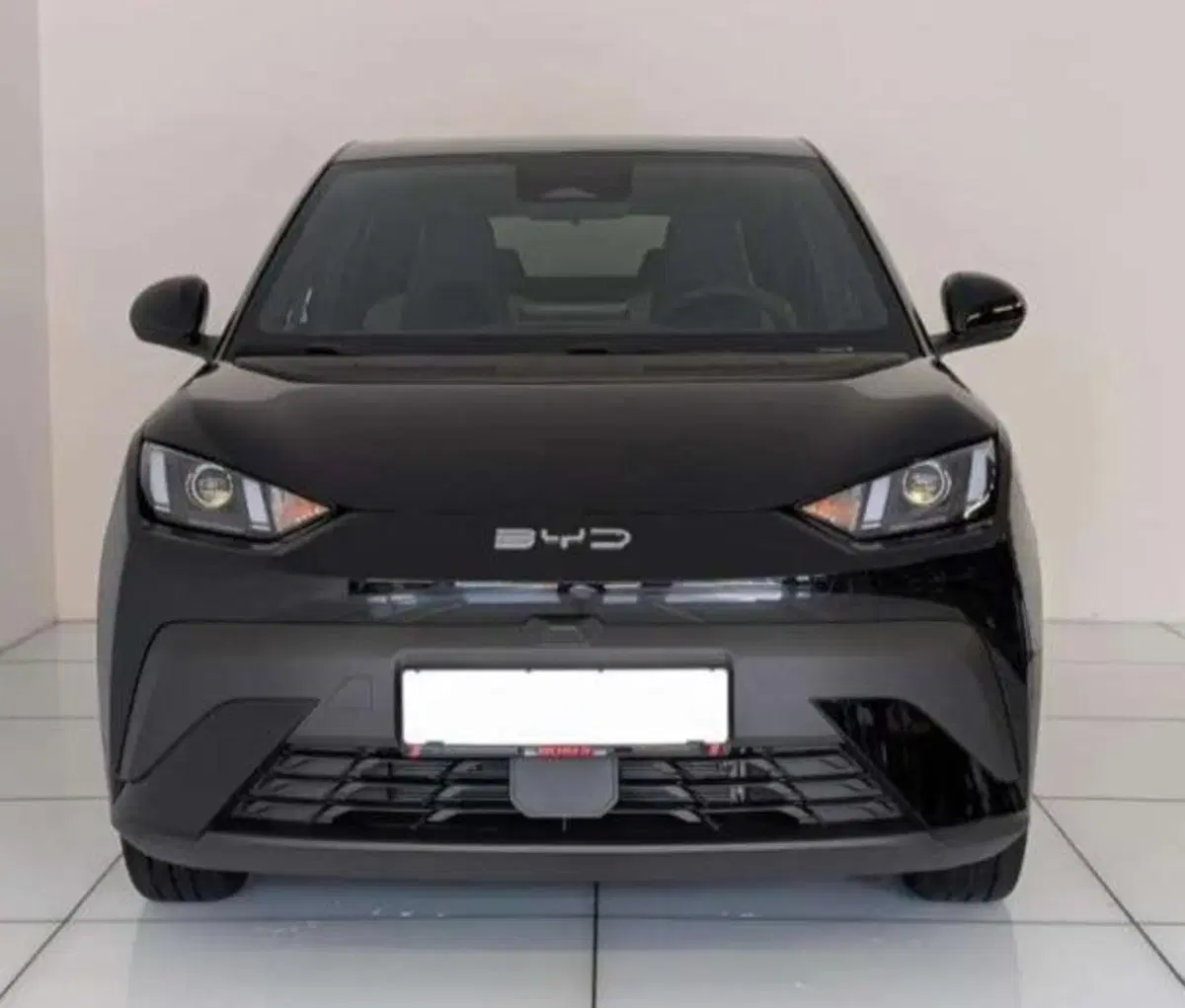Byd Dolphin Surf nuova a Bologna (2)