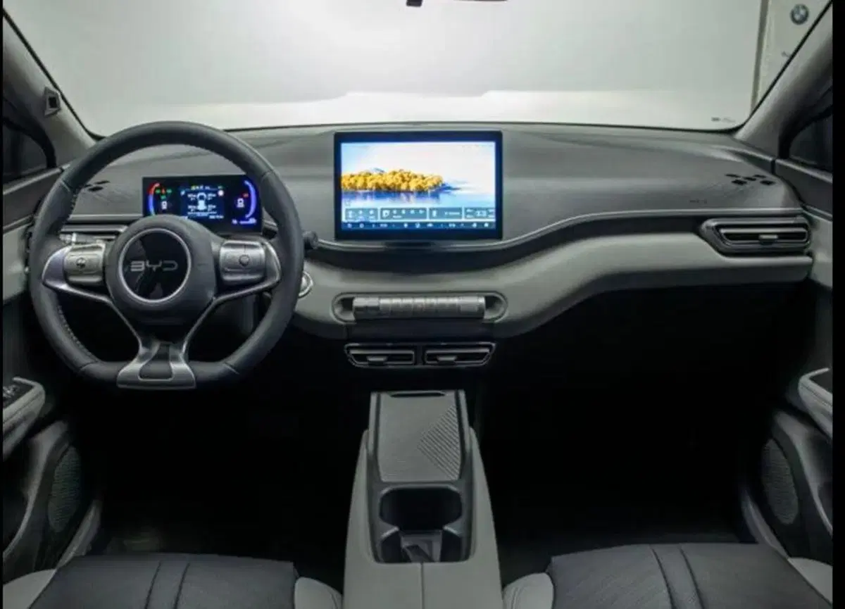 Byd Dolphin Surf nuova a Bologna (9)