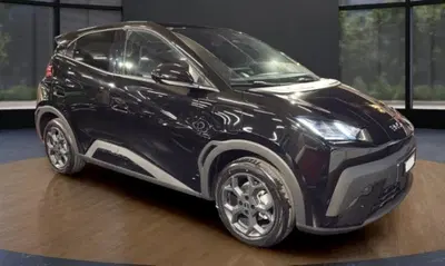 Byd Dolphin Surf 43,2 kWh Boost nuova a Castenaso