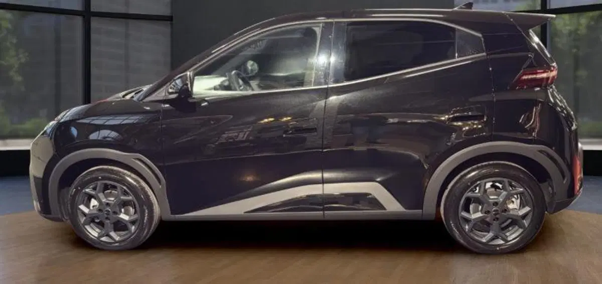 Byd Dolphin Surf nuova a Bologna (2)