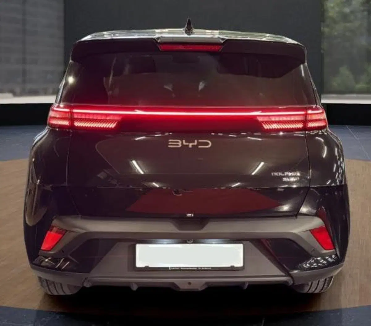 Byd Dolphin Surf nuova a Bologna (4)