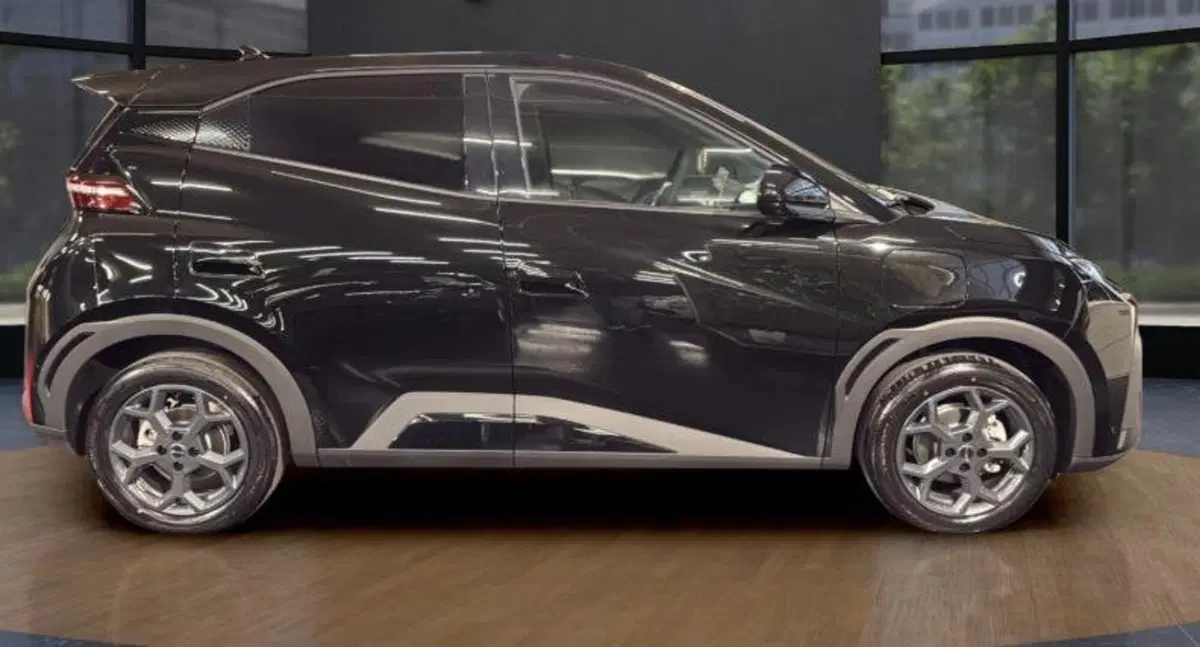 Byd Dolphin Surf nuova a Bologna (6)