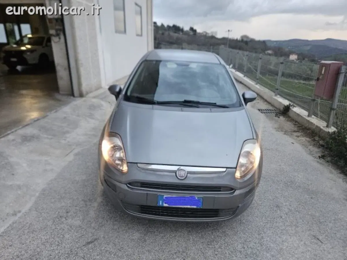 Fiat Punto Evo usata a Campobasso
