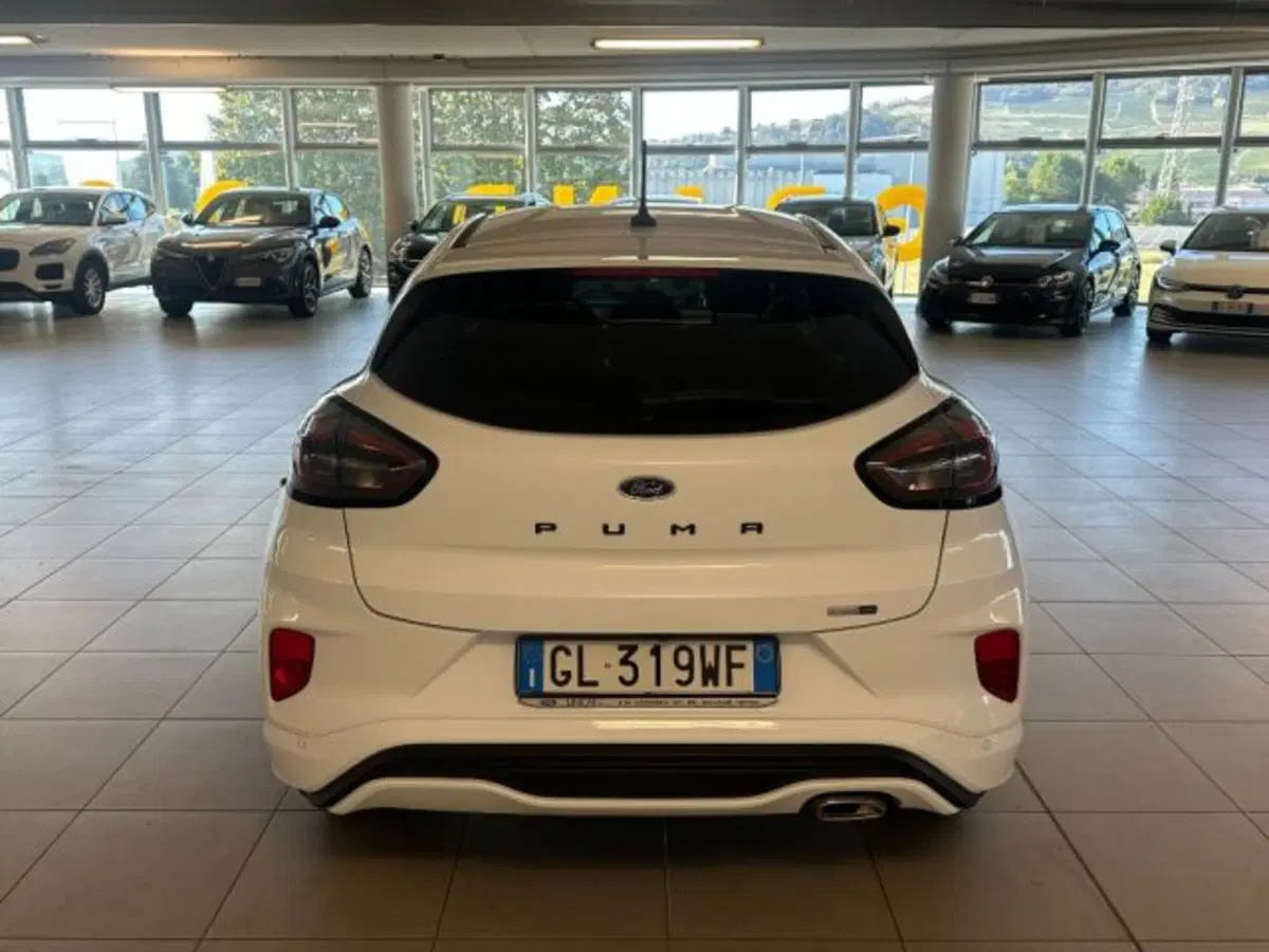 Ford Puma usata a Cuneo (6)