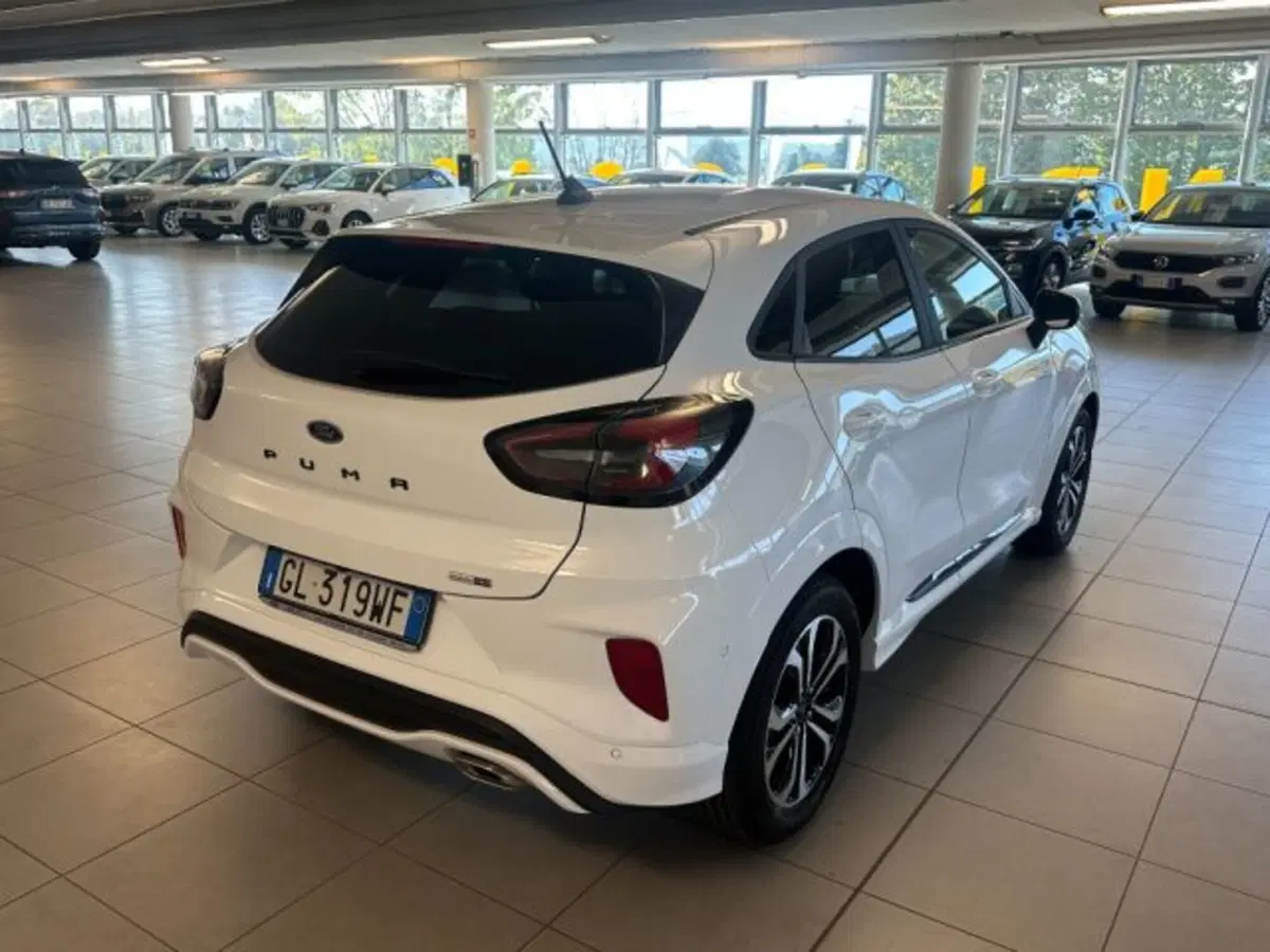 Ford Puma usata a Cuneo (7)