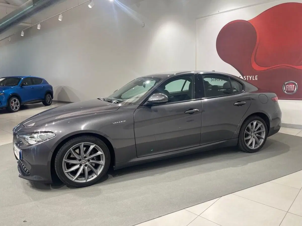 Alfa Romeo Giulia usata a Sondrio (2)