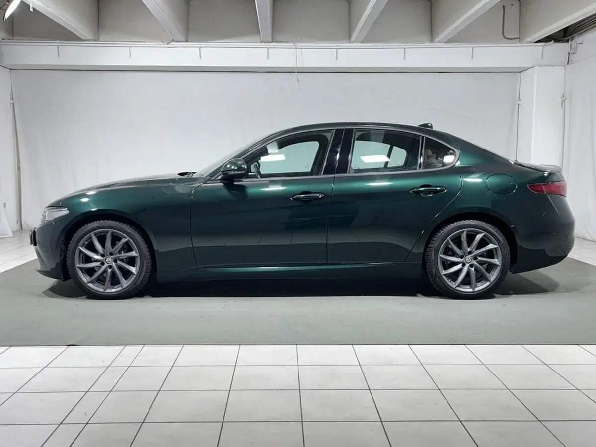 Alfa Romeo Giulia usata a Sondrio (2)