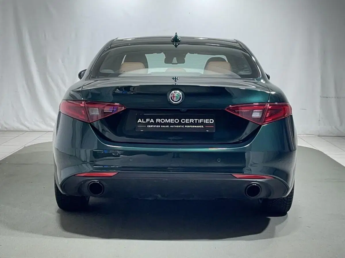 Alfa Romeo Giulia usata a Sondrio (4)