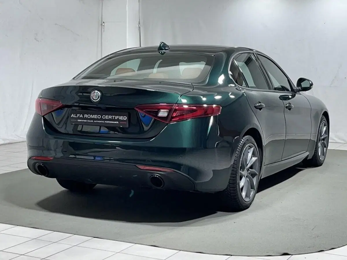 Alfa Romeo Giulia usata a Sondrio (5)