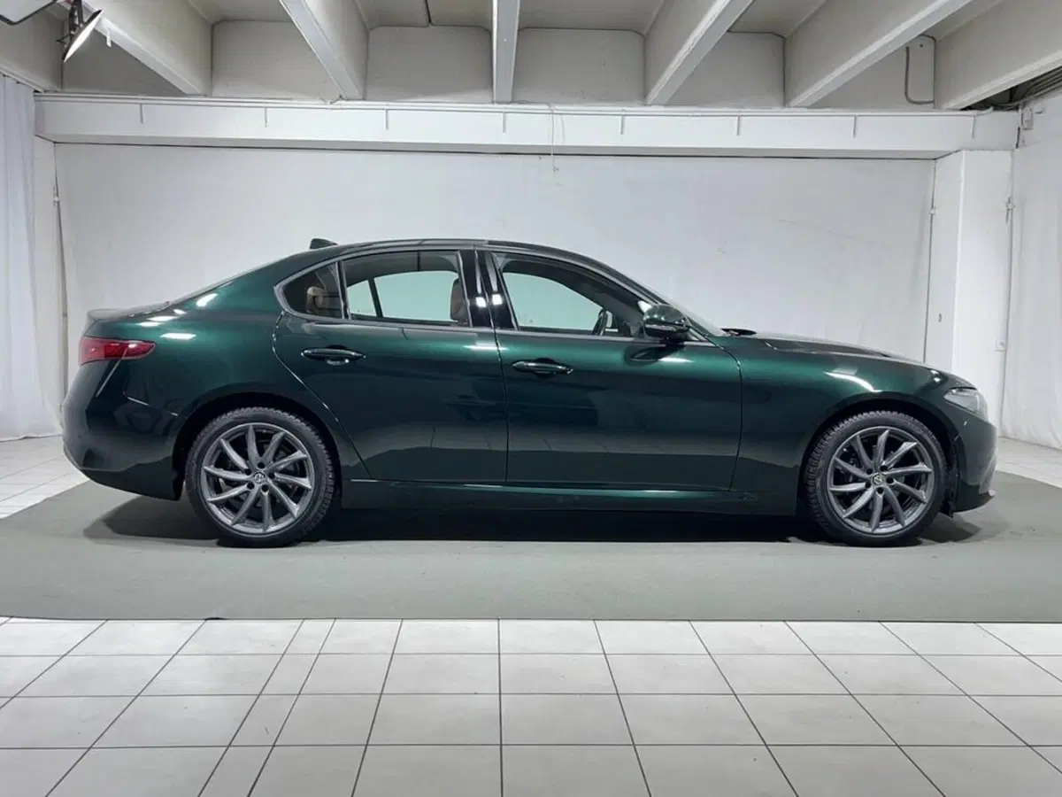 Alfa Romeo Giulia usata a Sondrio (6)