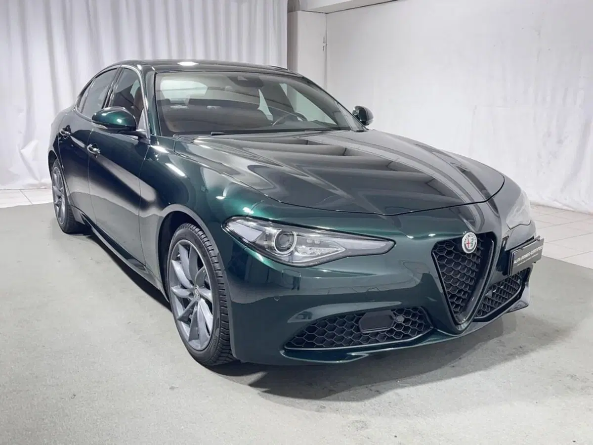 Alfa Romeo Giulia usata a Sondrio (7)