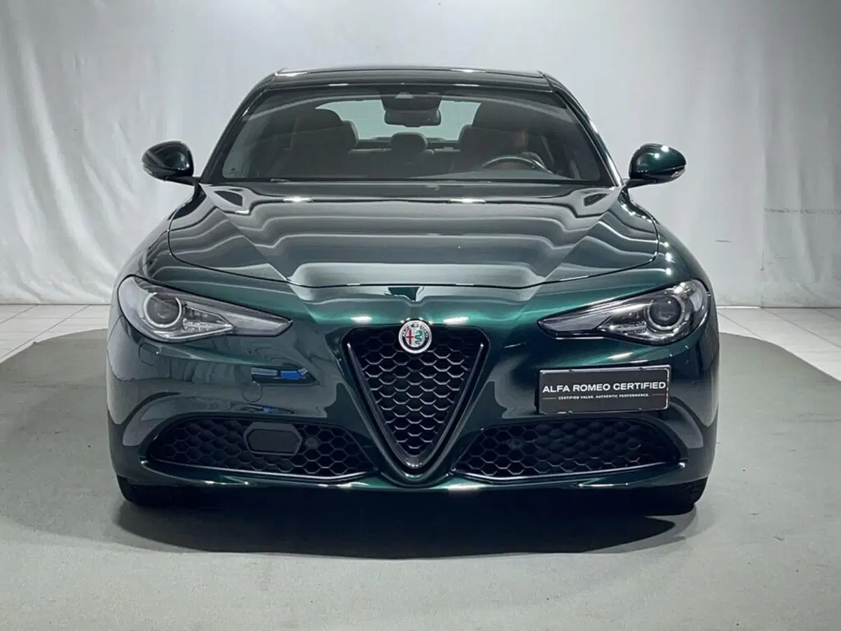 Alfa Romeo Giulia usata a Sondrio (8)