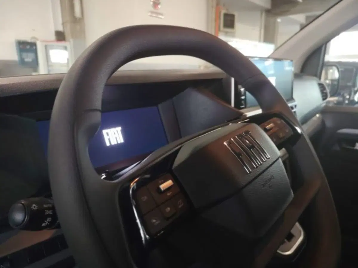 Fiat Ulysse usata a Forlì-Cesena (19)