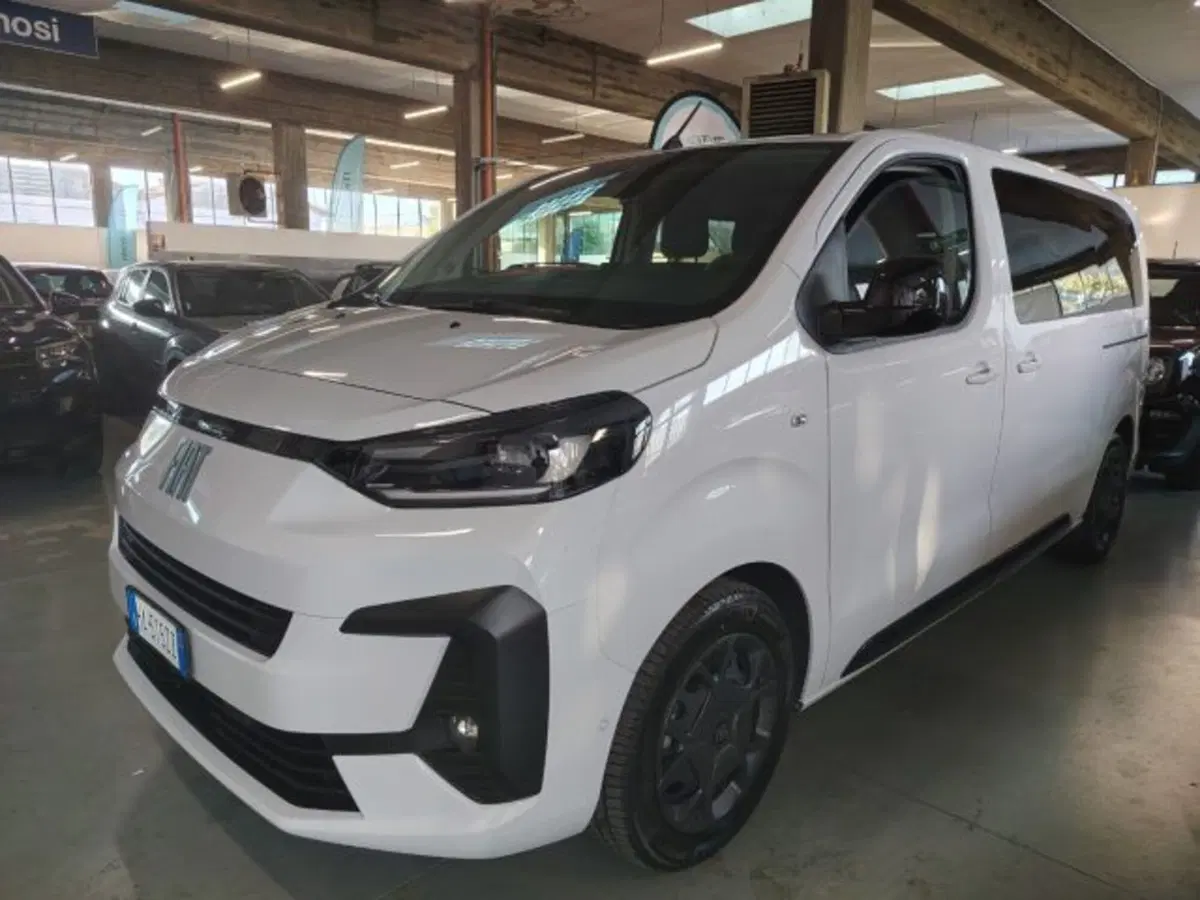 Fiat Ulysse usata a Forlì-Cesena (2)