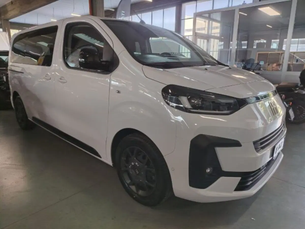 Fiat Ulysse usata a Forlì-Cesena (4)