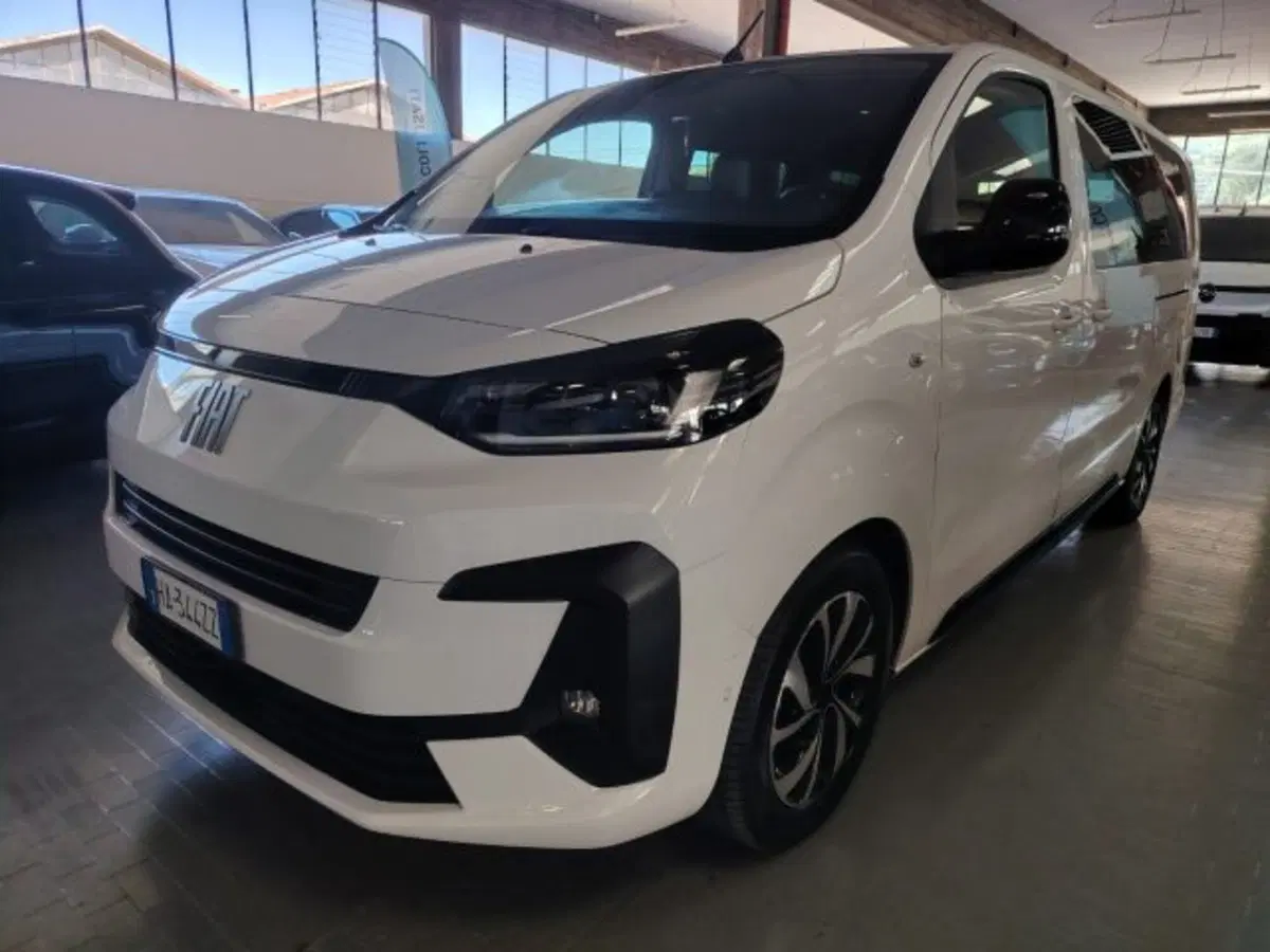 Fiat Ulysse usata a Forlì-Cesena