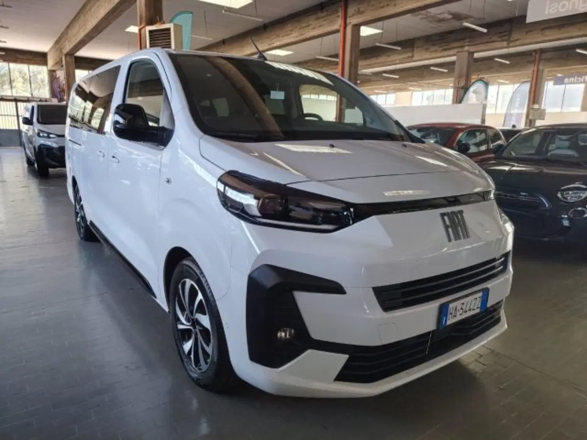 Fiat Ulysse usata a Forlì-Cesena (3)