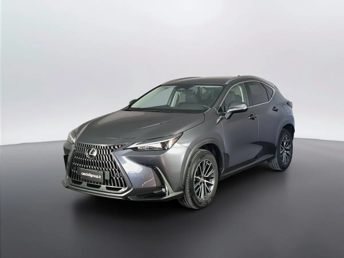 Lexus NX usata a Ascoli Piceno