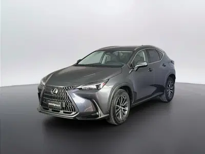 Lexus NX 350h 2.5 Luxury 4wd e-cvt del 2022 usata a San Benedetto del Tronto