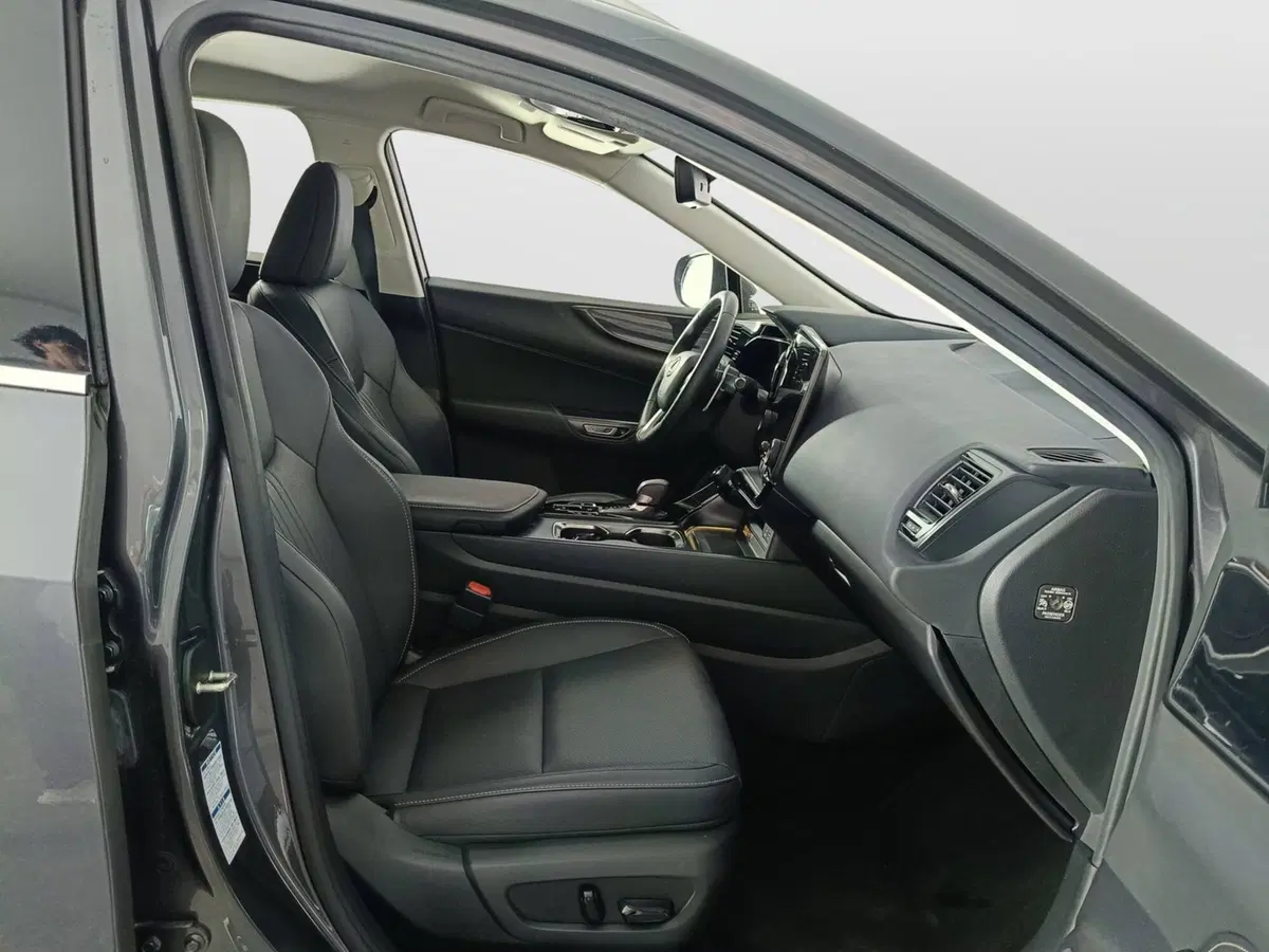 Lexus NX usata a Ascoli Piceno (10)
