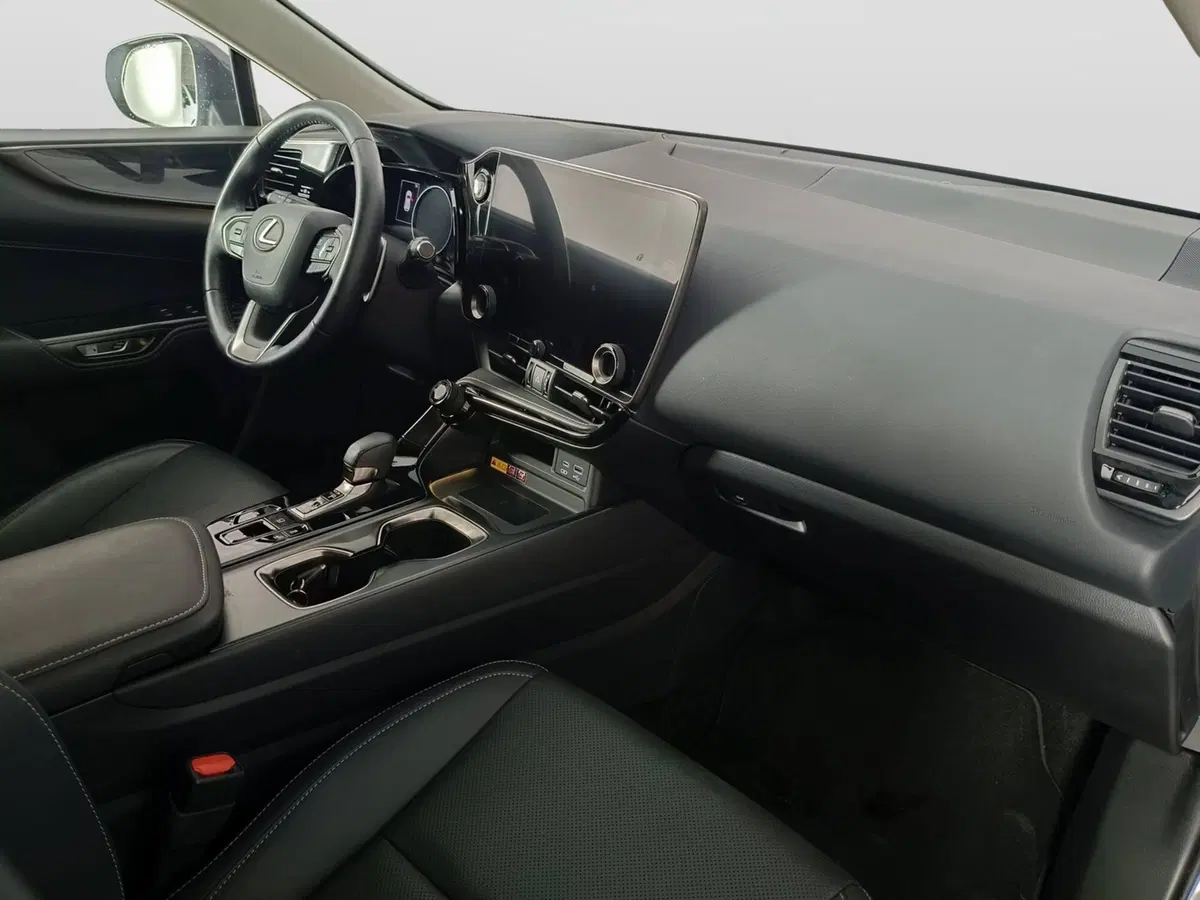 Lexus NX usata a Ascoli Piceno (11)