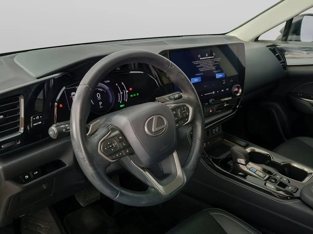 Lexus NX usata a Ascoli Piceno (12)