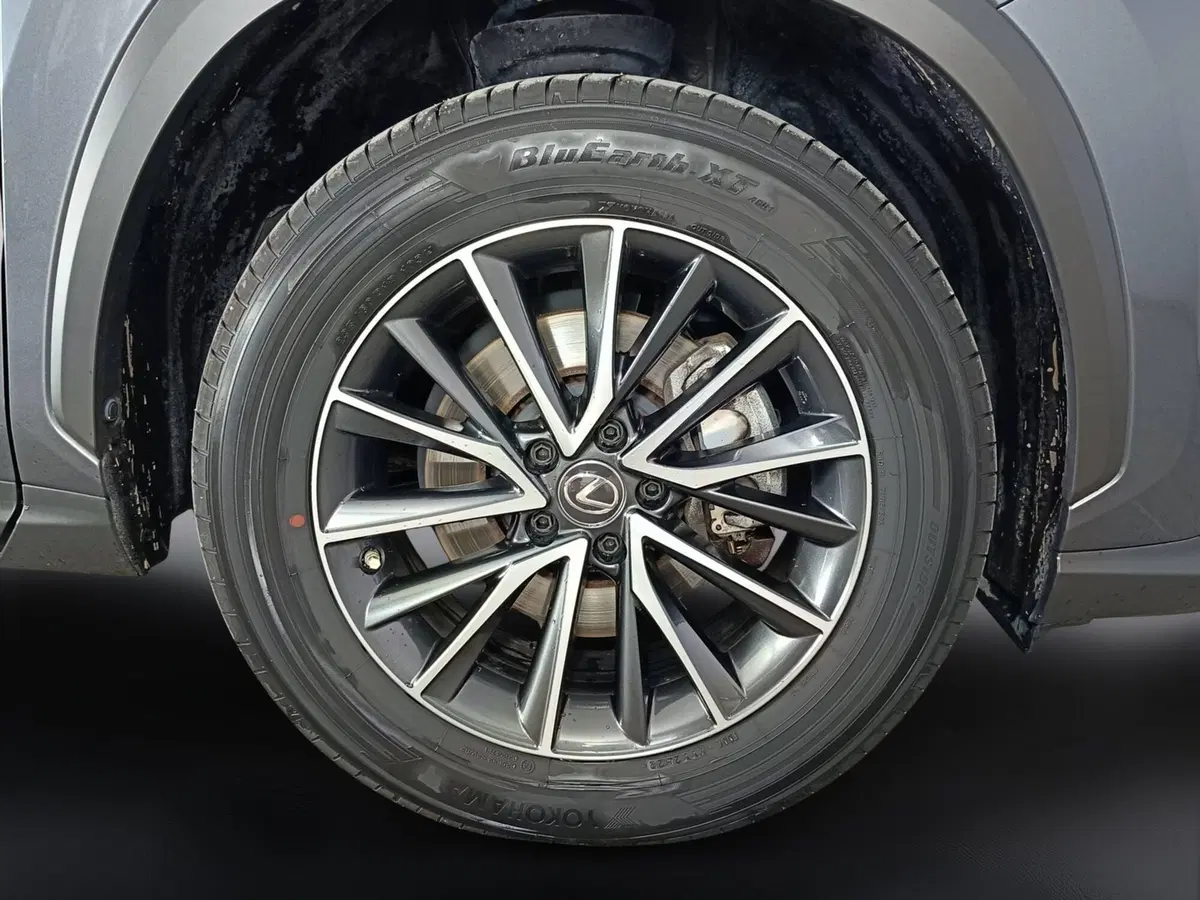 Lexus NX usata a Ascoli Piceno (19)