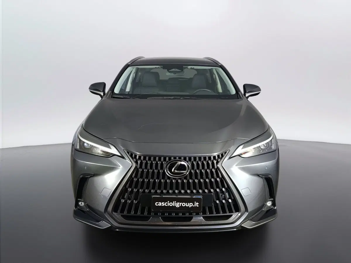 Lexus NX usata a Ascoli Piceno (2)