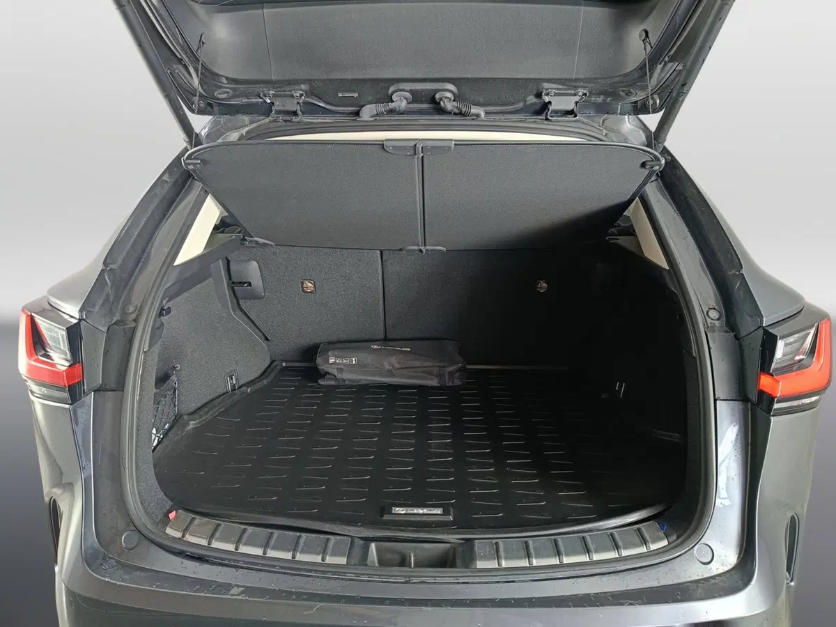 Lexus NX usata a Ascoli Piceno (20)