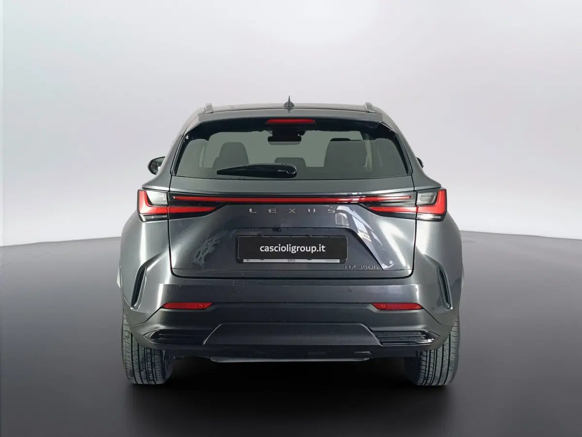 Lexus NX usata a Ascoli Piceno (3)