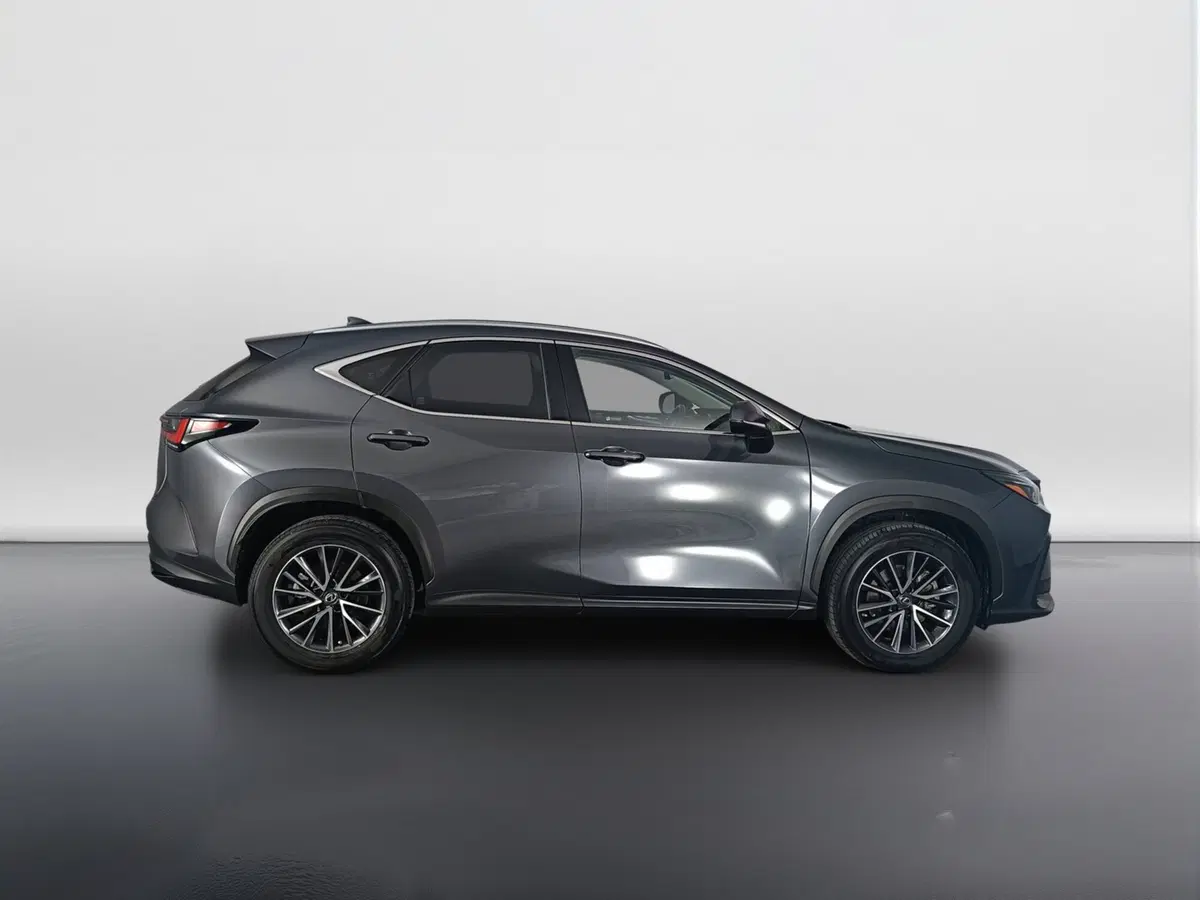 Lexus NX usata a Ascoli Piceno (4)