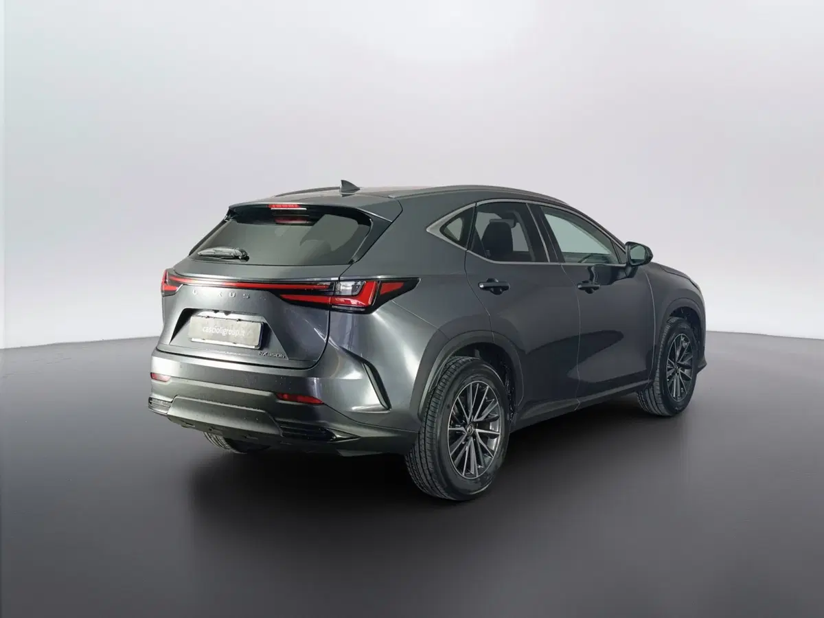 Lexus NX usata a Ascoli Piceno (5)