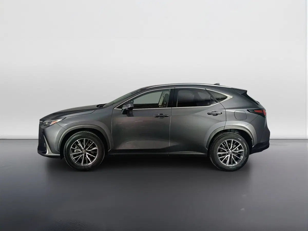 Lexus NX usata a Ascoli Piceno (6)