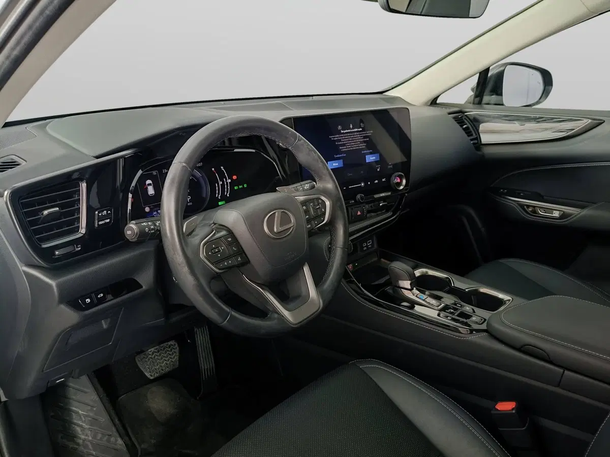 Lexus NX usata a Ascoli Piceno (7)