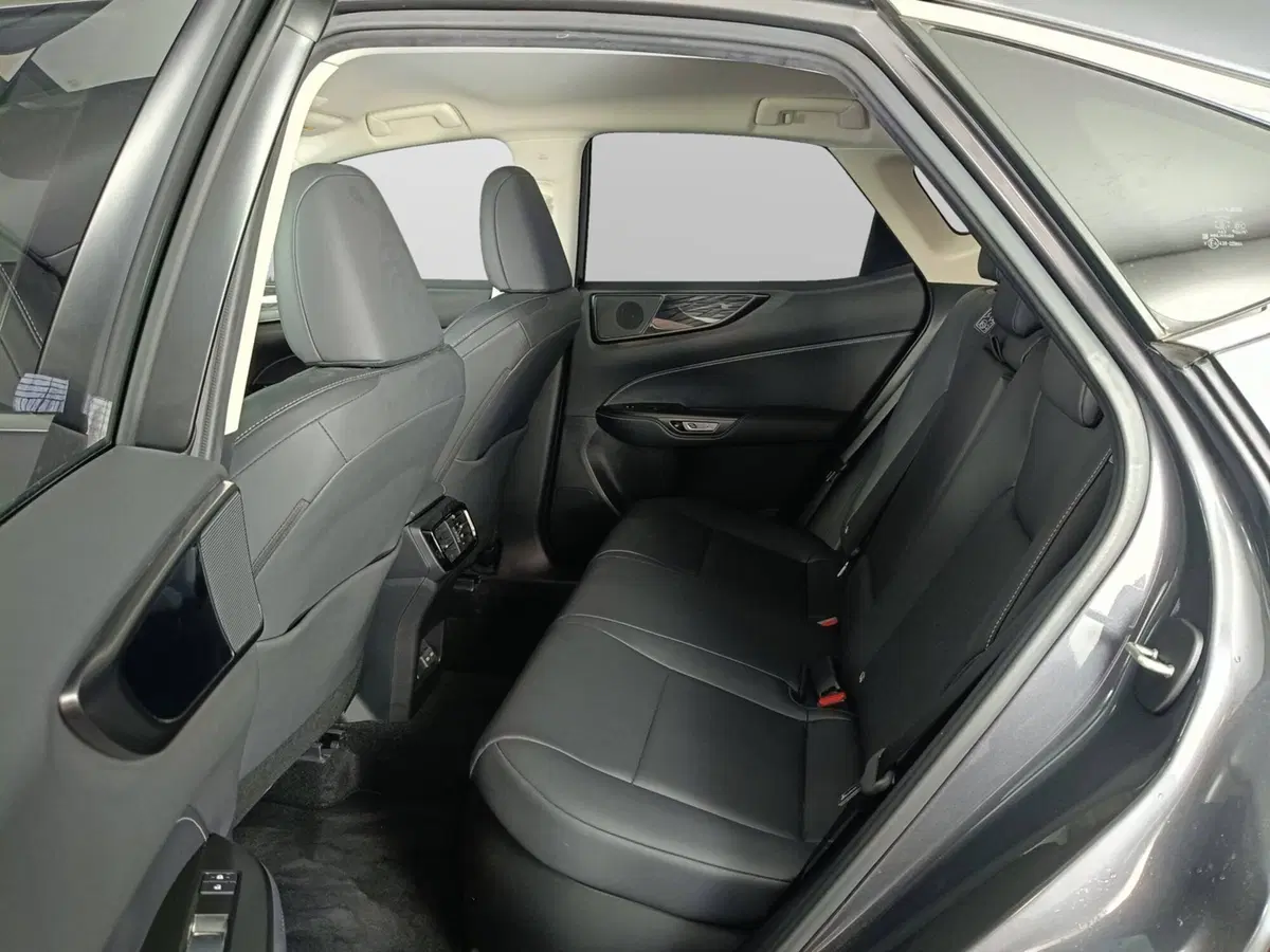 Lexus NX usata a Ascoli Piceno (9)